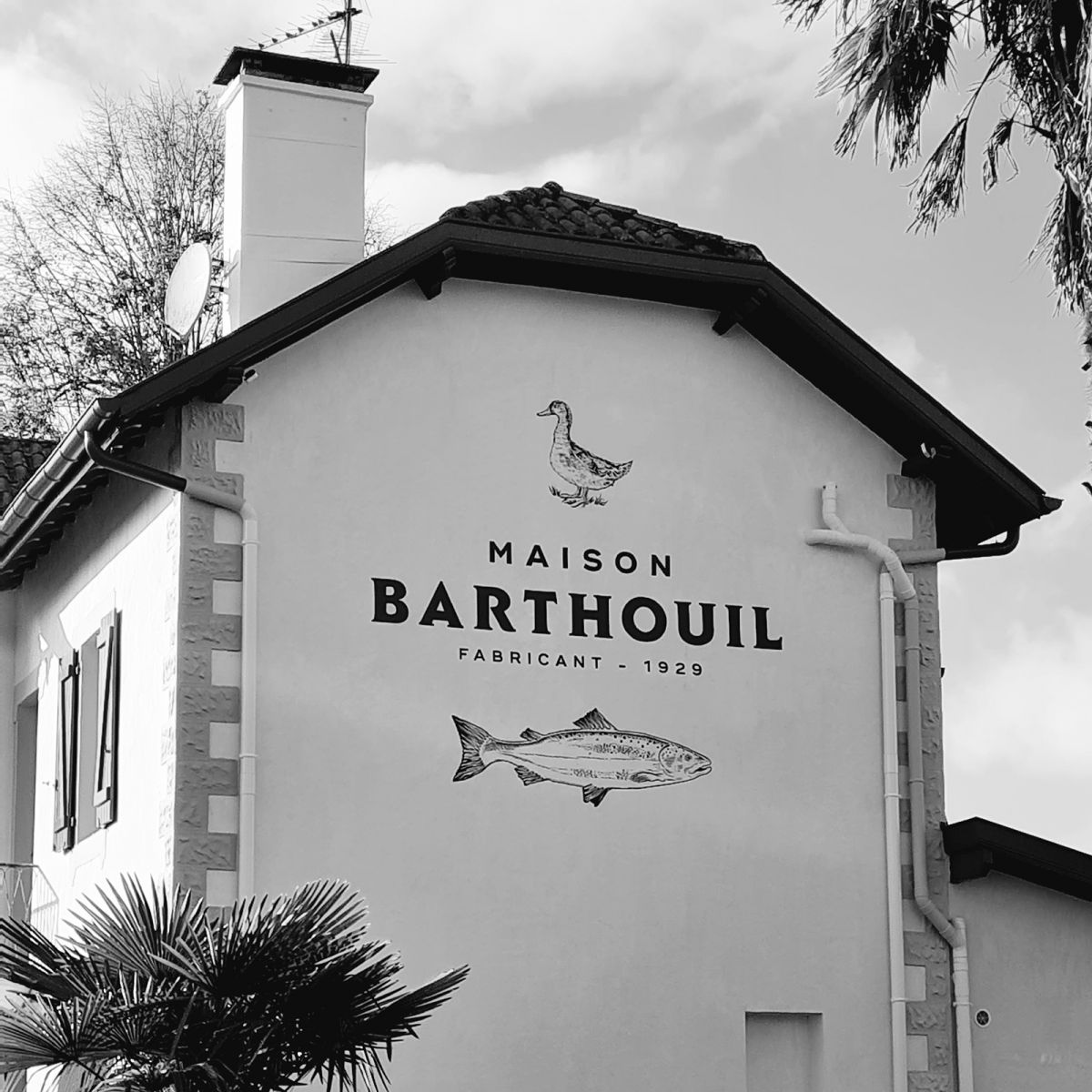 House Barthouil
