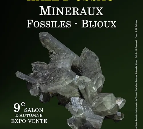 9e SALON MINERAUX FOSSILES BIJOUX d'automne de SOUMOULOU (64)