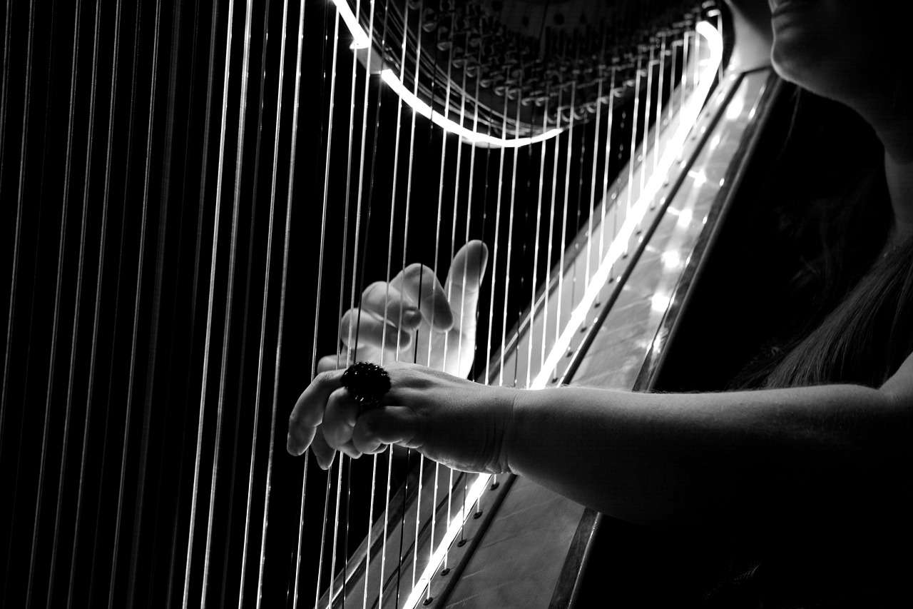 Concert de Harpe par Céline Dicharry - La Guin ...