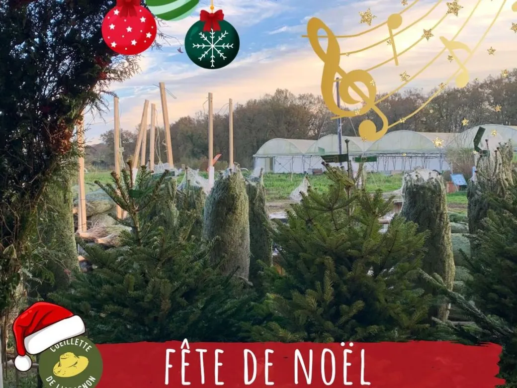 Marché de Noël, à la ... - Crédit: Cueillette de l'Aragnon | CC BY-NC-ND 4.0