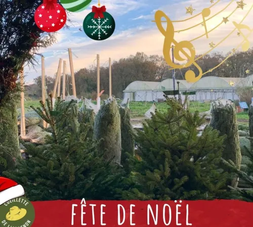 Marché de Noël, à la Cueillette de l'Aragnon