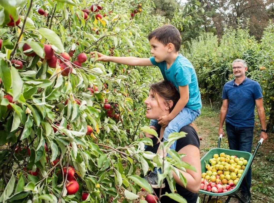 Fête de la pomme, à l ... - Crédit: Cueillette de l'Aragnon | CC BY-NC-ND 4.0