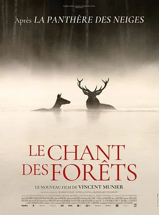 Cinéma Laruns : LE CHANT DES FÔRETS