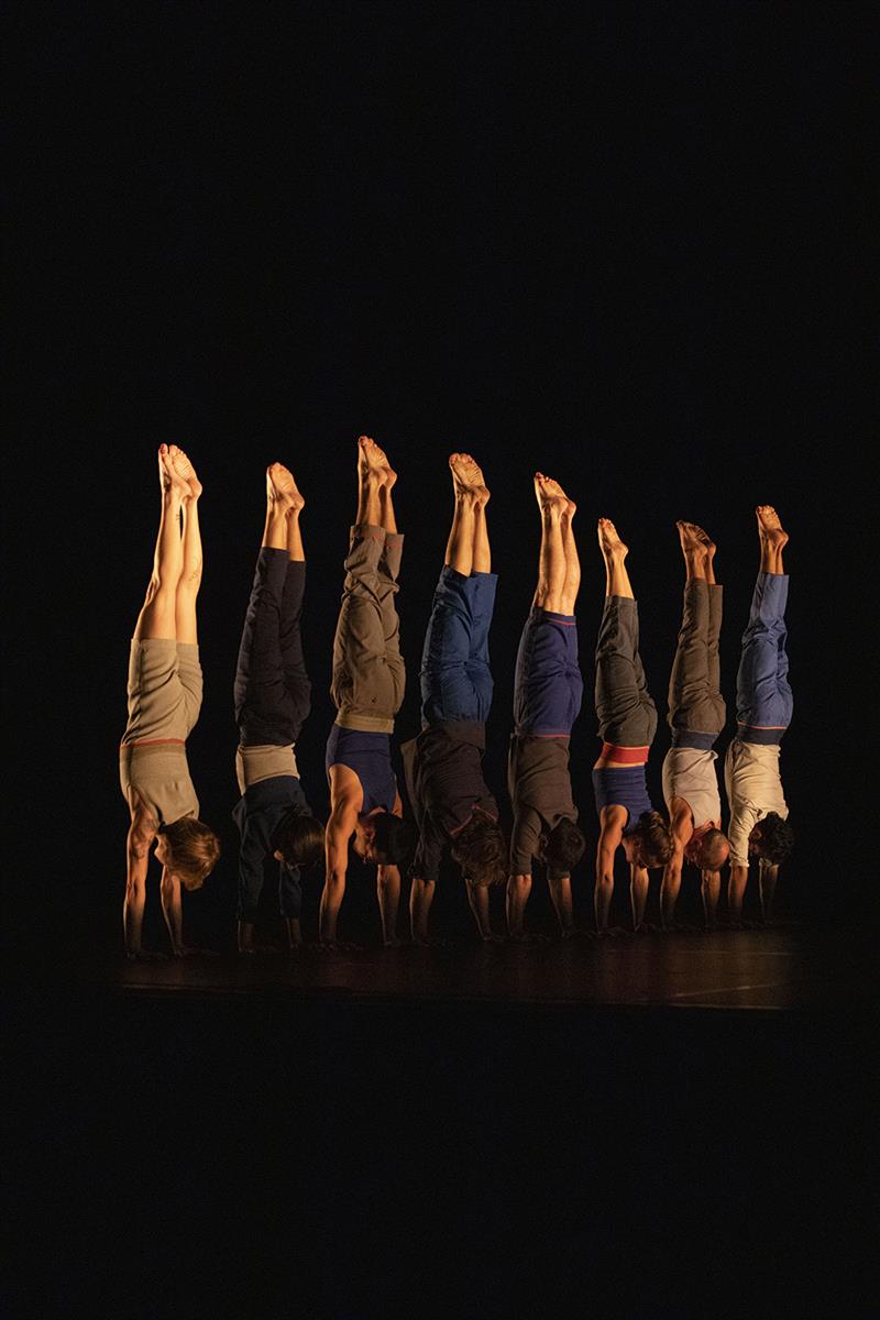 Saison culturelle - Le Complexe de l’Autruche  ...