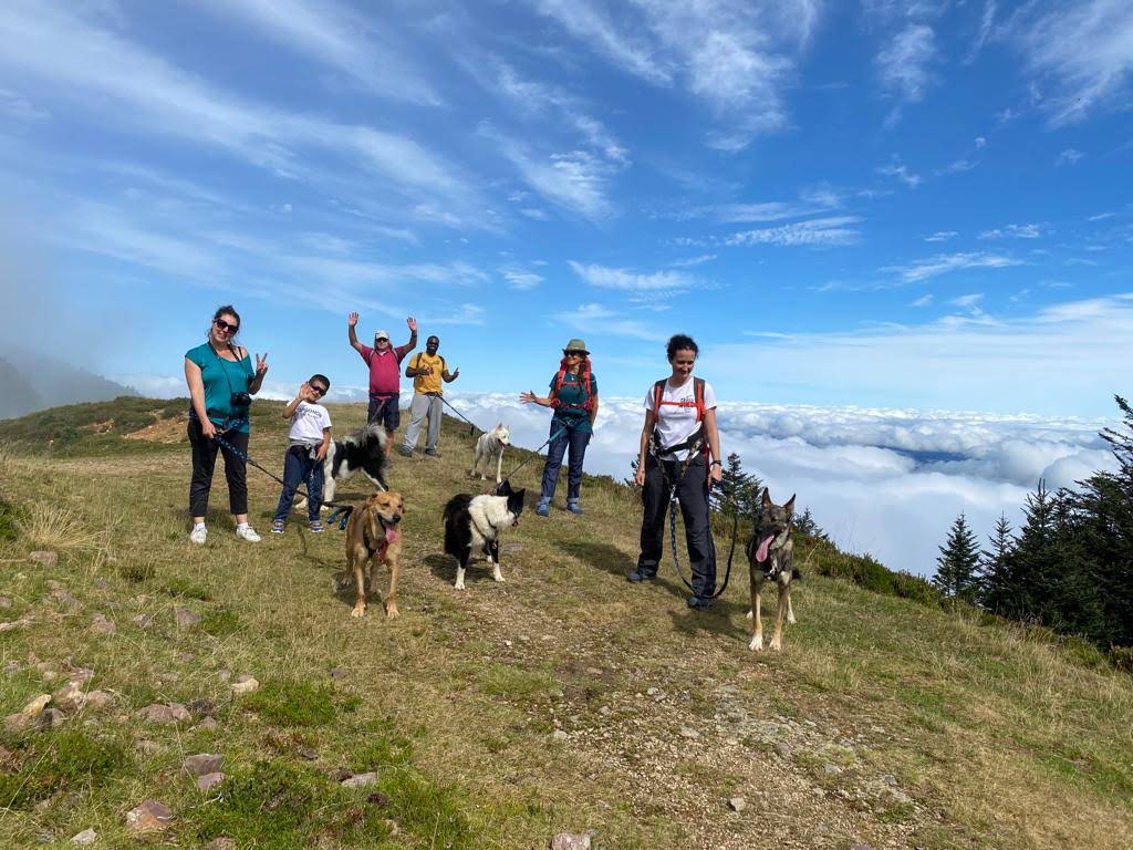 Randonner avec un chien nordique à La Pierre S ...