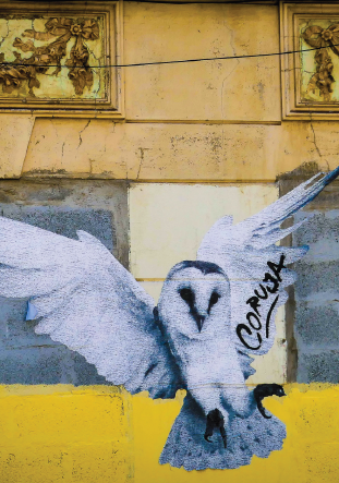 Exposition : Porto Graphique - Guy Bauza