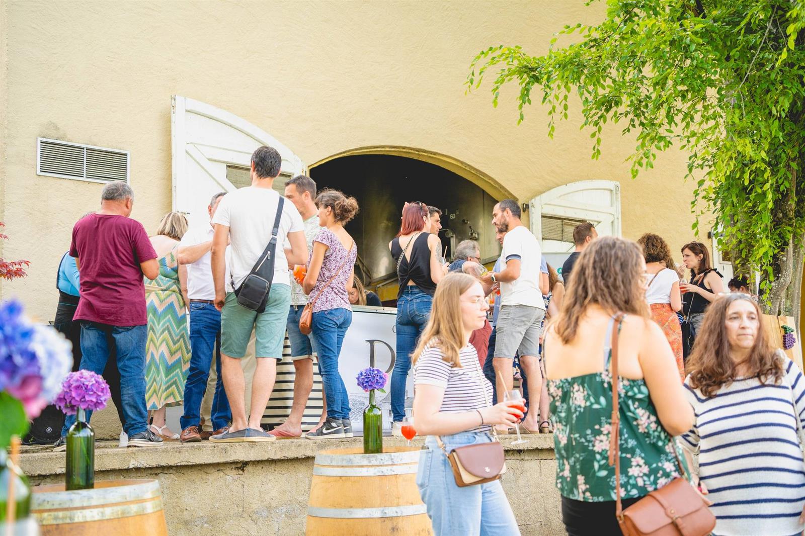 Portes ouvertes en Madiran, au château de Diusse