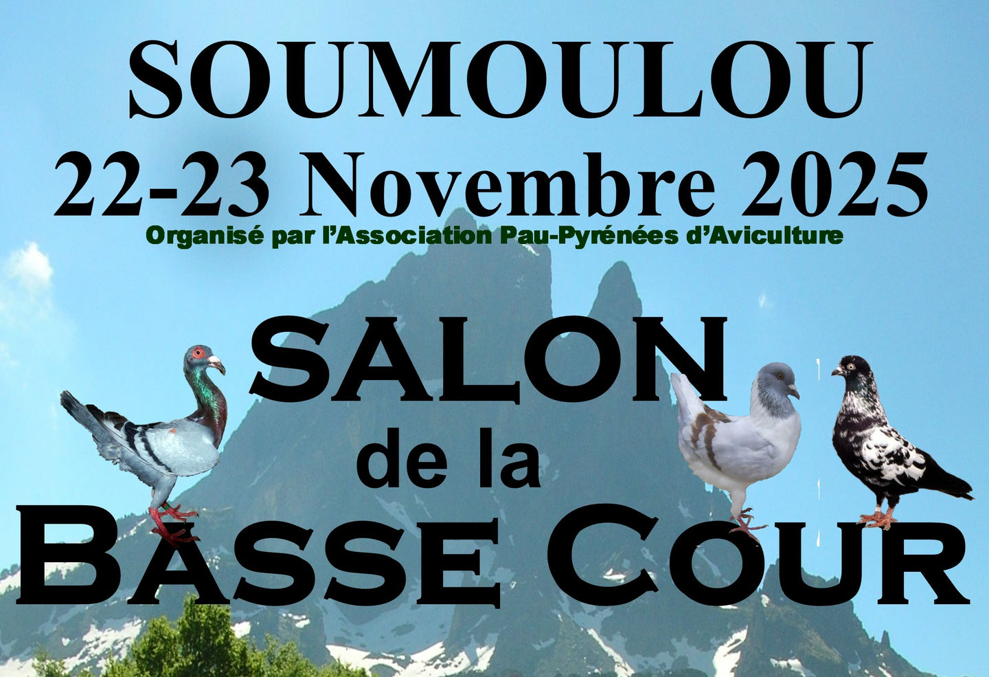 Salon de la basse-cour