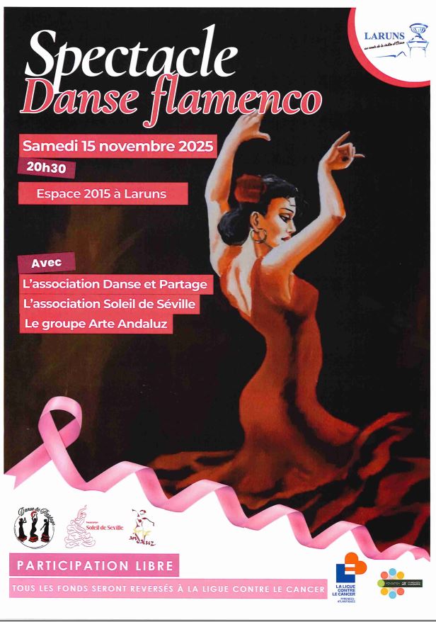 Spectacle Danse Flamenco