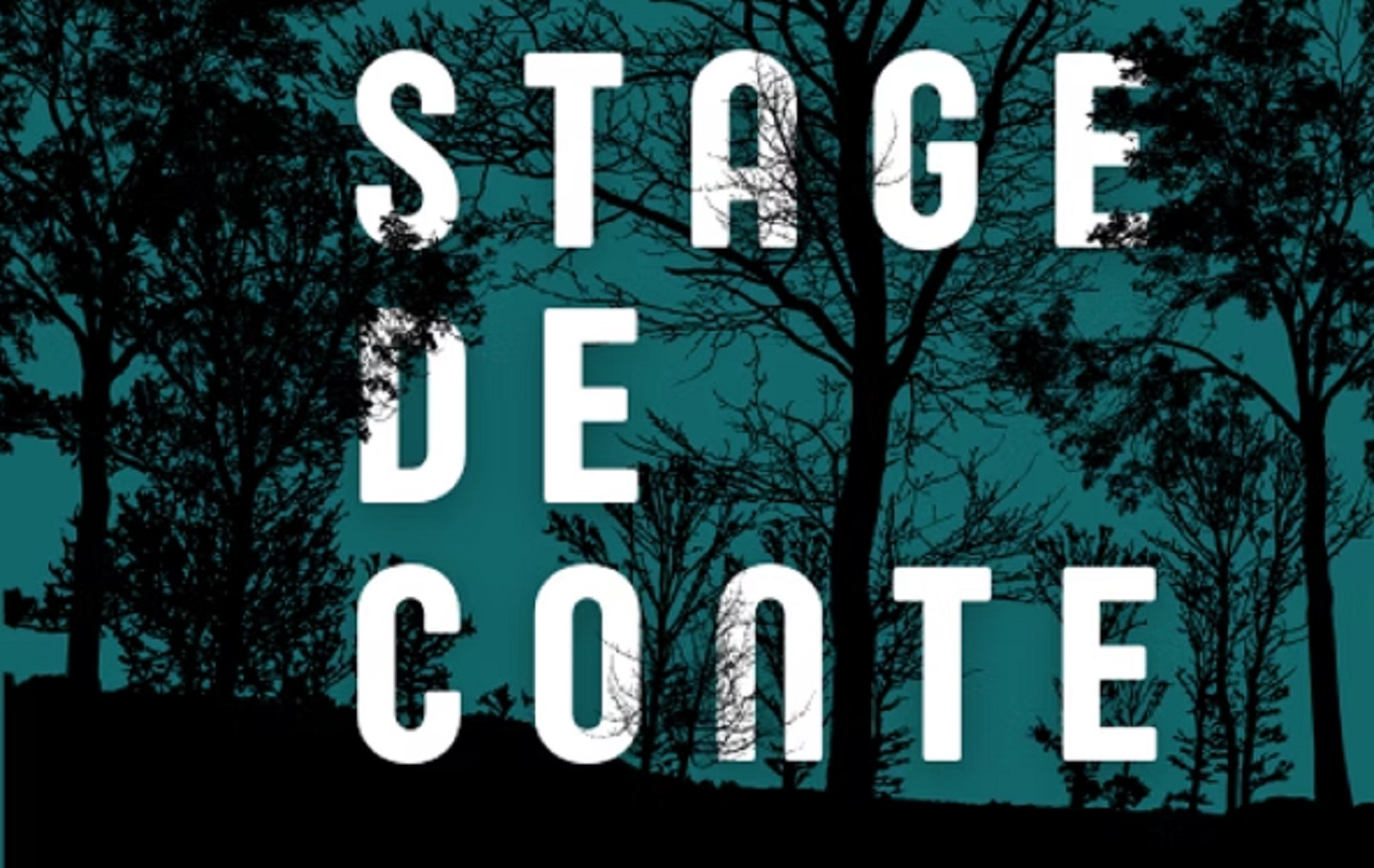 Stage de conte