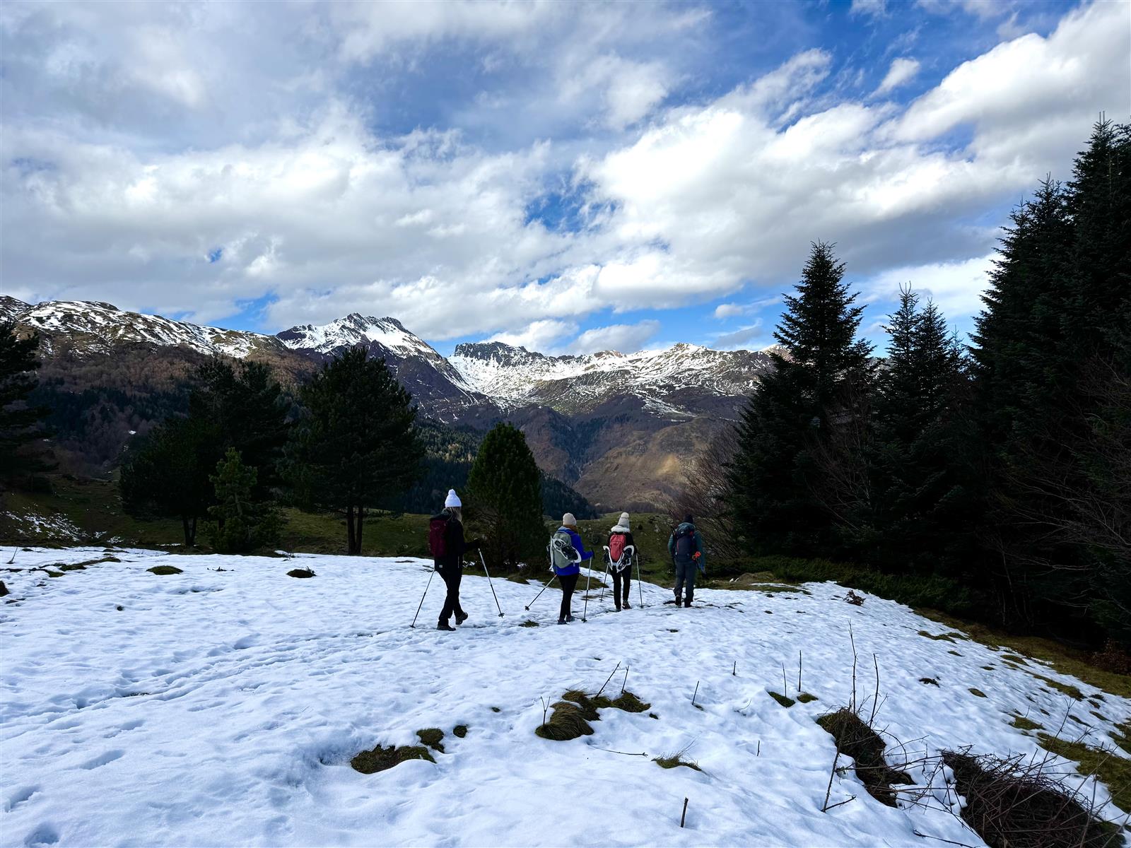 Randonnée hivernale sur les traces de la faune ...