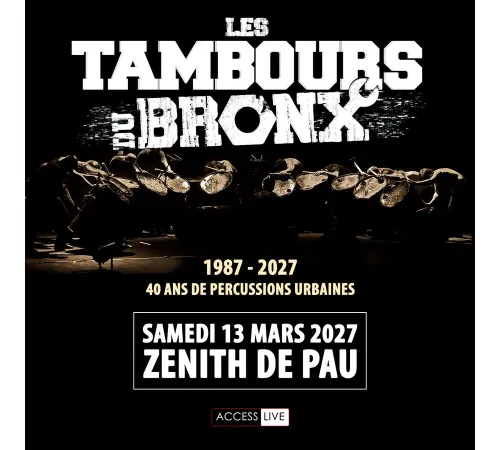 LES TAMBOURS DU BRONX