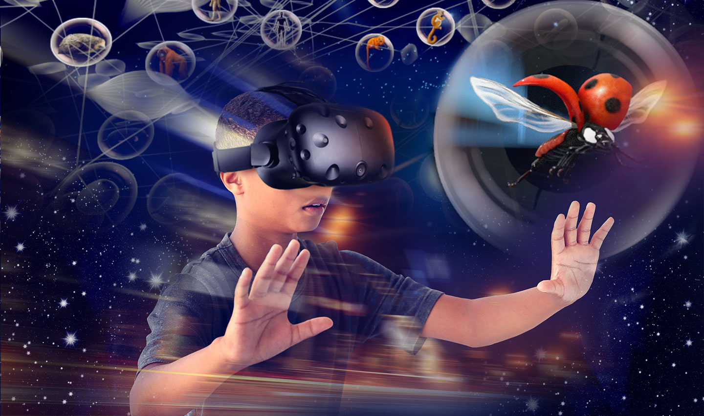 Séances de réalité virtuelle « Voyage au cœur  ...