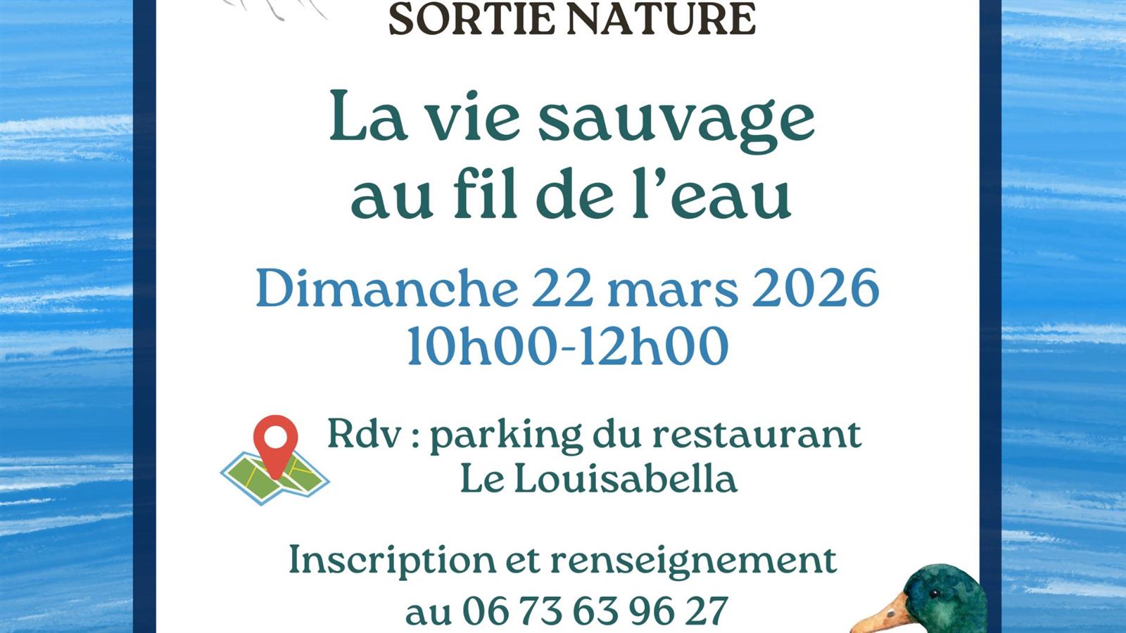 Sortie Nature : La vie sauvage au fil de l'eau