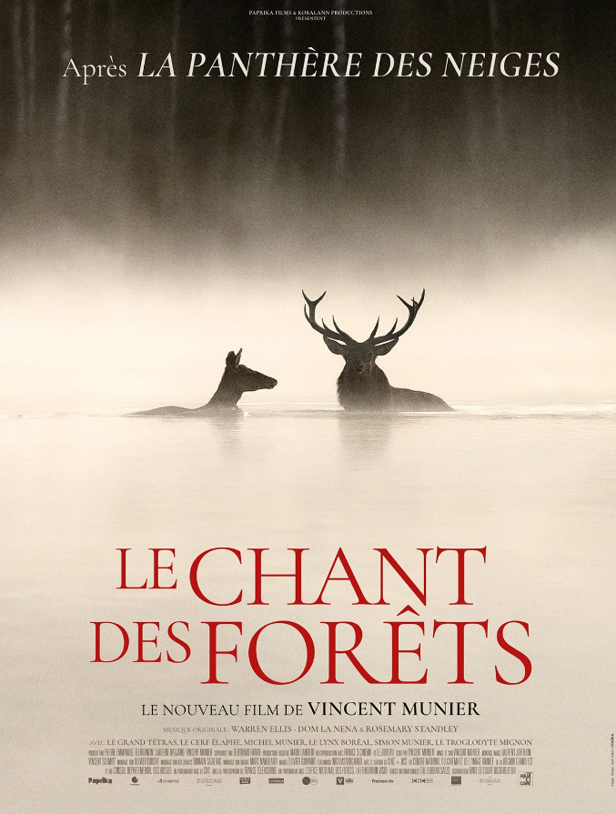 Cinéma Arudy : Le Chant des forêts