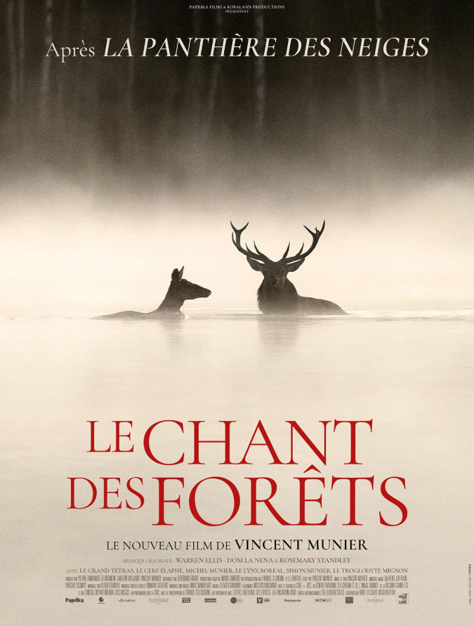 Cinéma Laruns : Le Chant des forêts