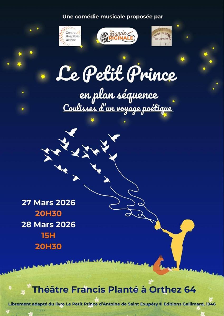 Comédie musicale : Le Petit Prince