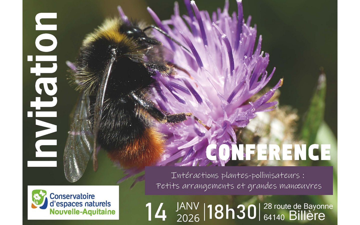 Conférence "Intéractions plantes-pollinisateur ...