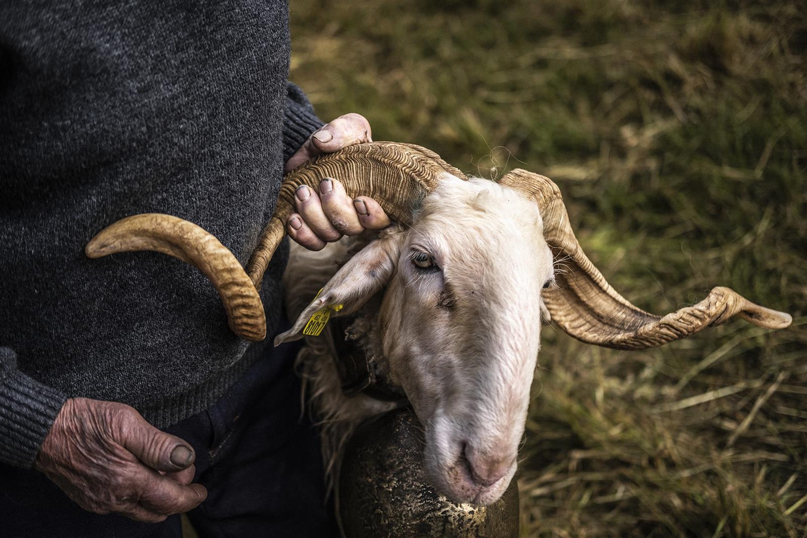 Exposition : Photographies d'Adrien Basse