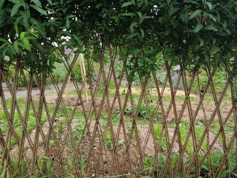 Je crée des structures vivantes en osier pour  ...