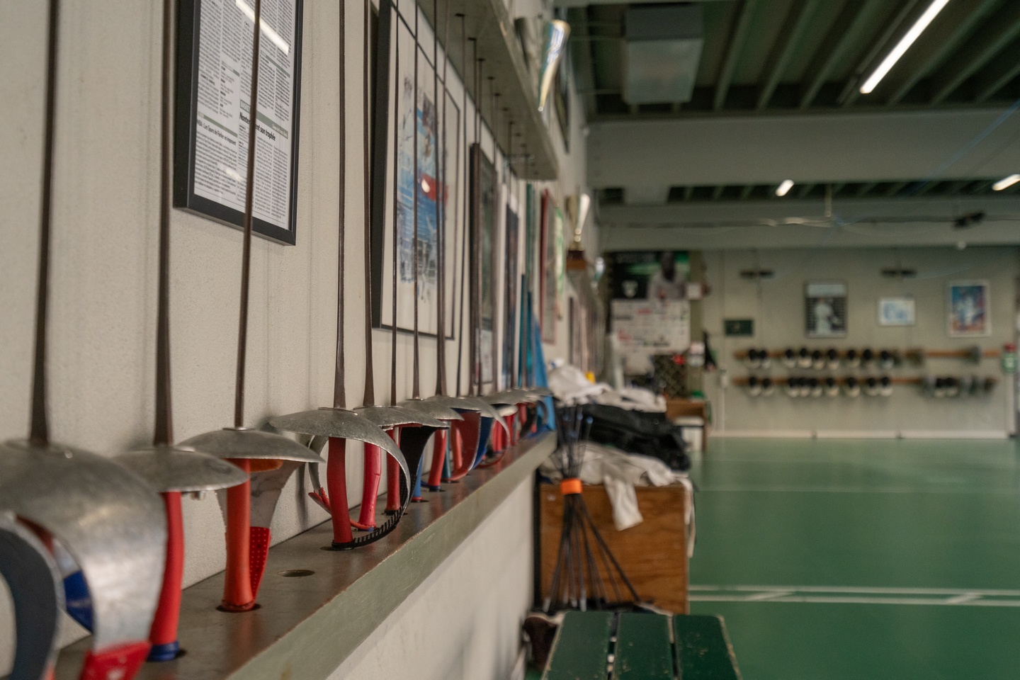 Les coups de coeur de l'inventaire : le gymnas ...