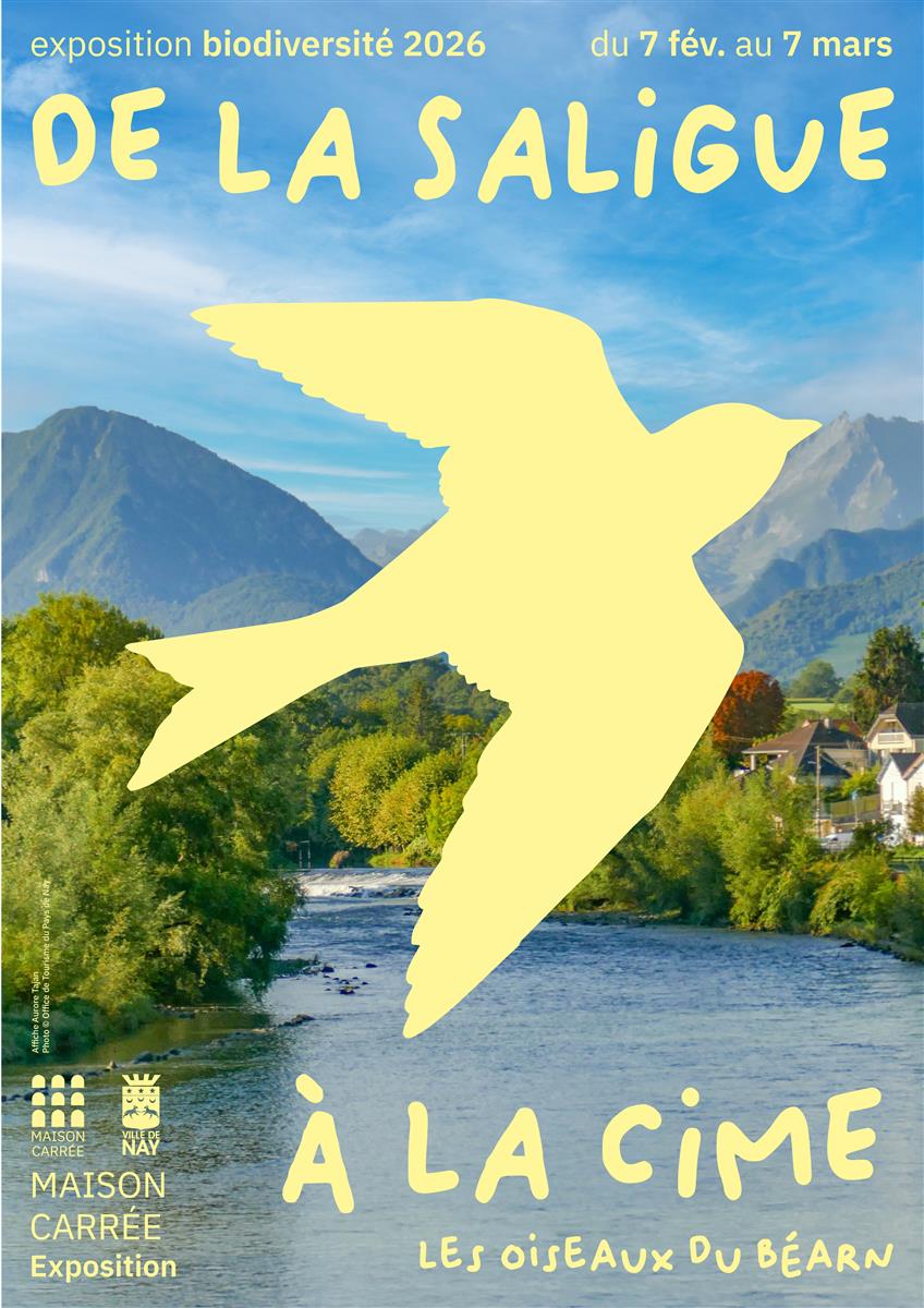 Exposition - De la saligue à la cime