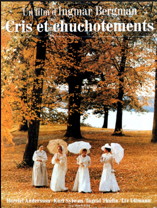 Ciné-rencontre : C ta toile - Cris et chuchote ...