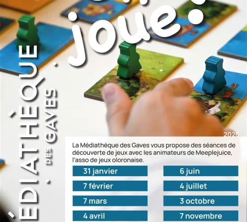 On joue ? Découverte de jeux avec Meeplejuice