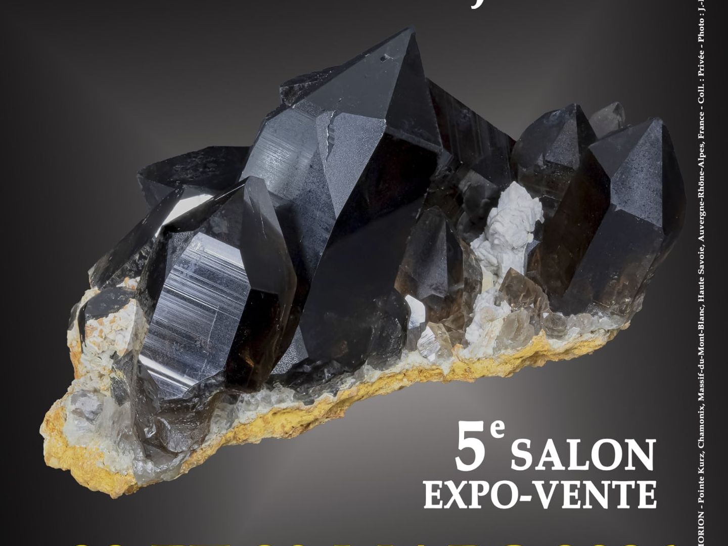 Salon Minéraux Fossiles Bijoux