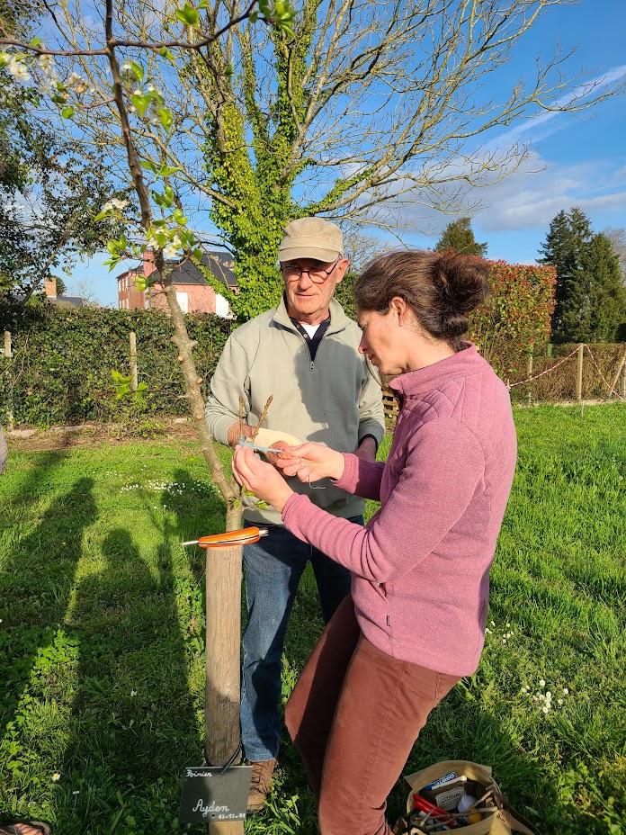 Atelier « Apprendre à greffer des arbres fruit ...