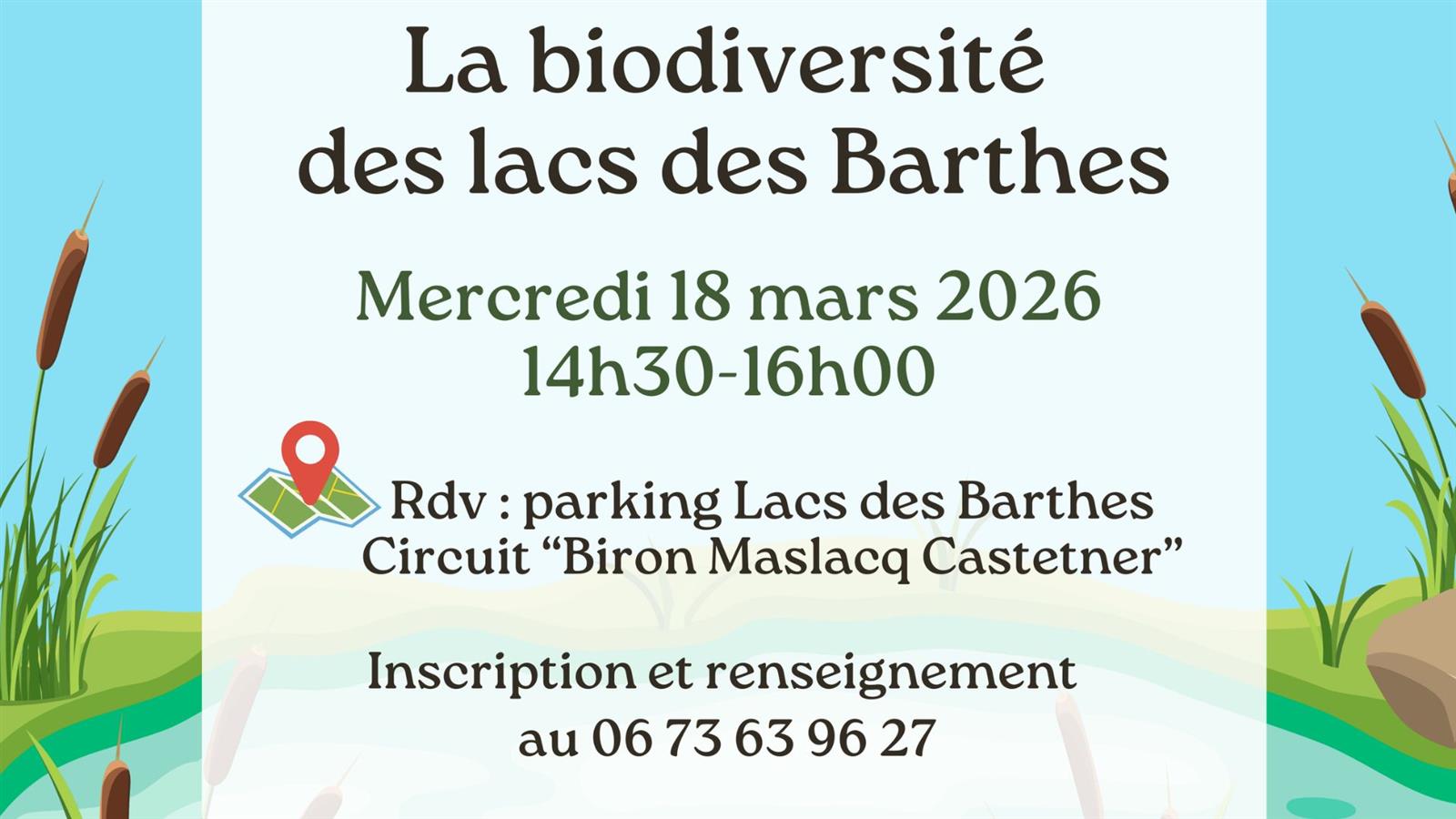 Sortie nature : La biodiversité des lacs