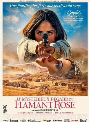 Cinéma Arudy : Le mystérieux regard du flamand ...