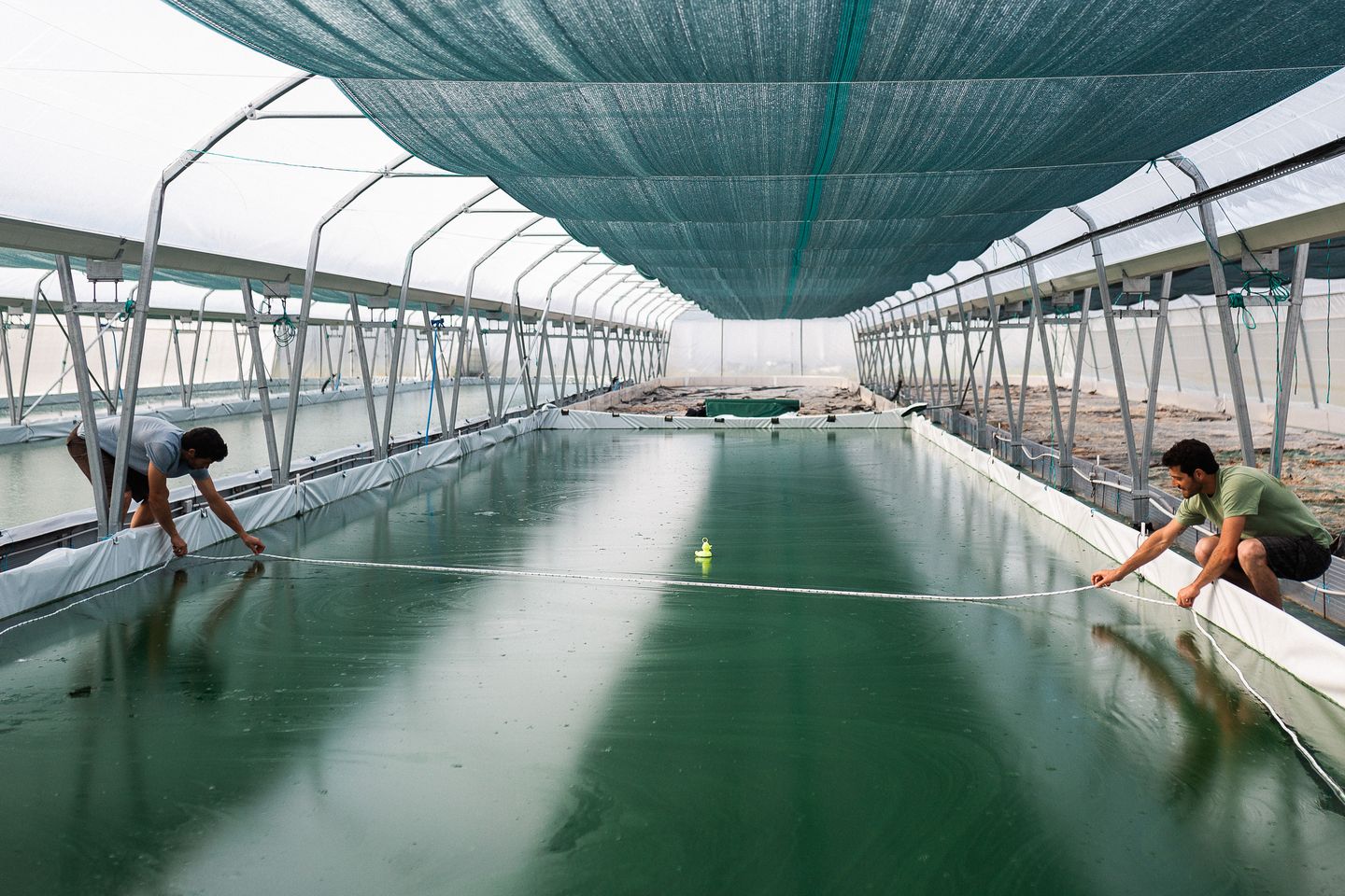 De ferme en ferme : Spir'up