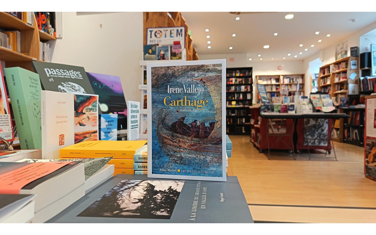 "Carthage" d'Irene Vallejo : rencontre avec la ...