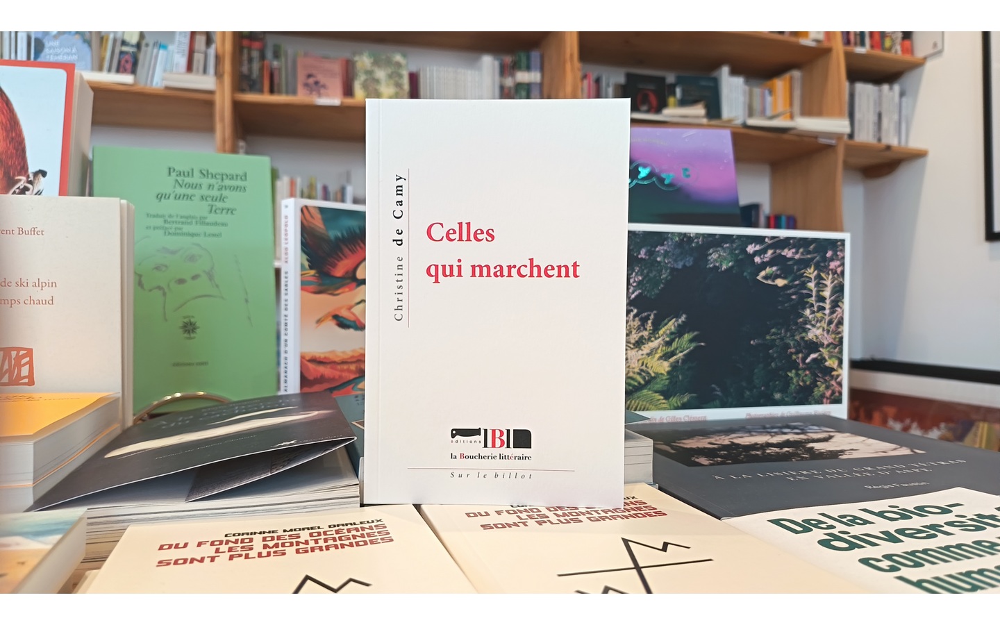 Rencontre et lecture avec Christine de Camy au ...