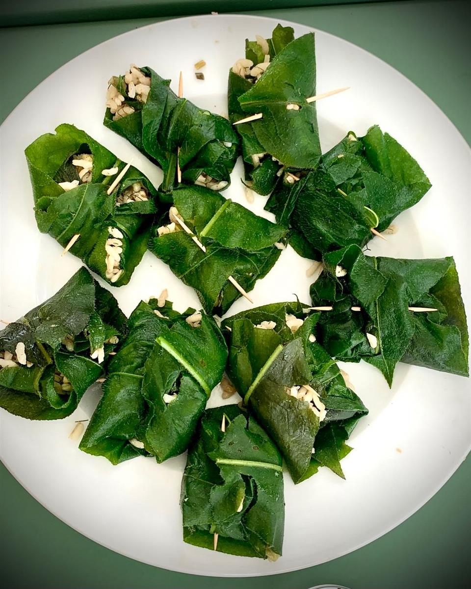 Cueillette et cuisine des plantes sauvages com ...