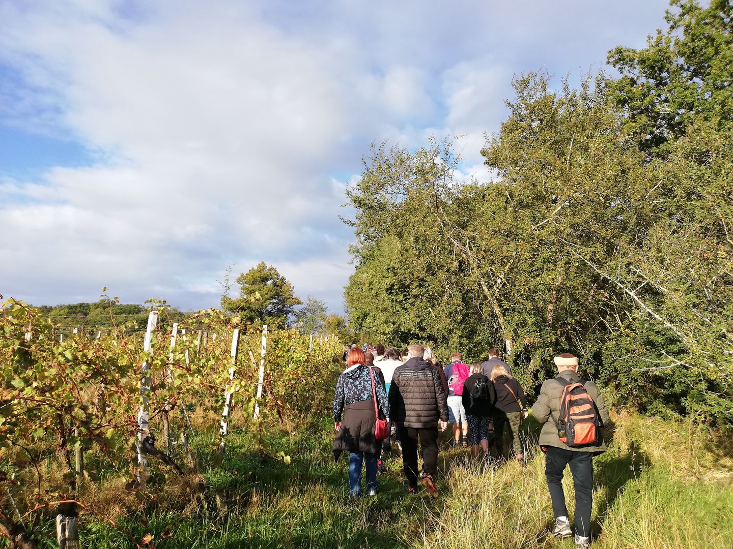 Madi'Rando de printemps
