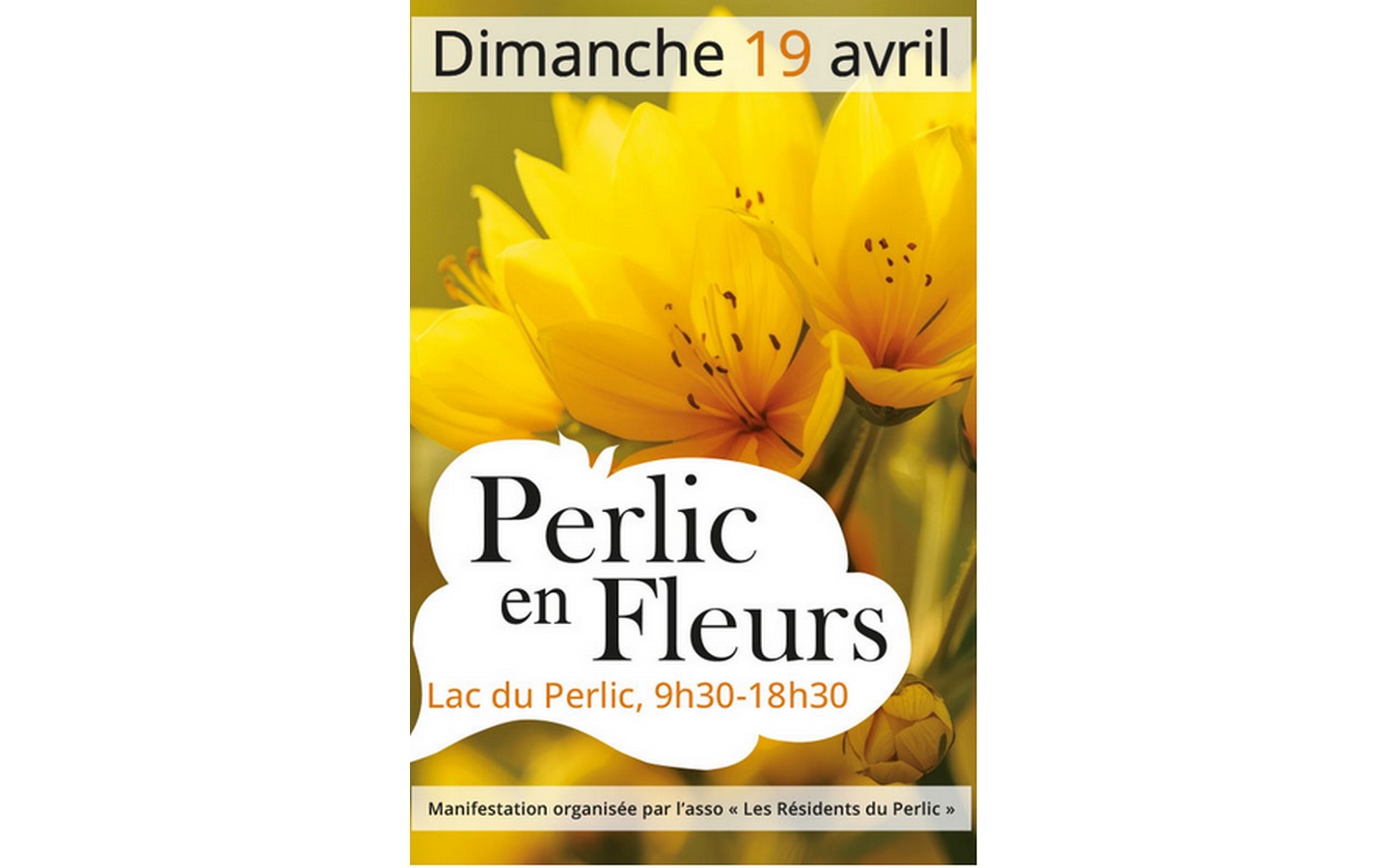 Perlic en fleurs