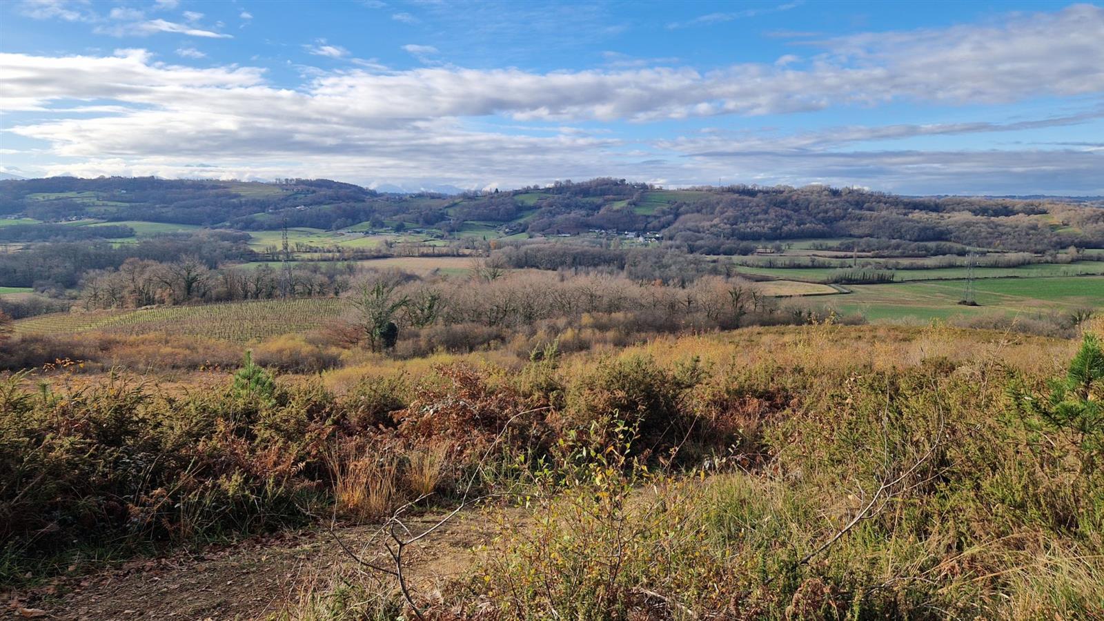 Biodivélo : Roulons à tire d'ailes vers les la ...