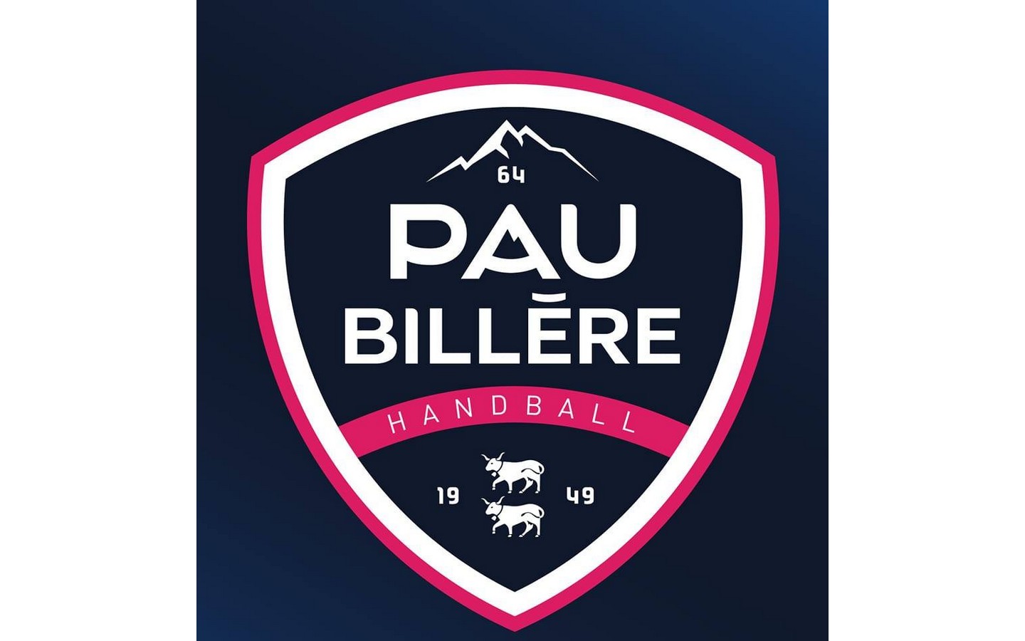 Handball: Pau Billère Handball Vs Pontault