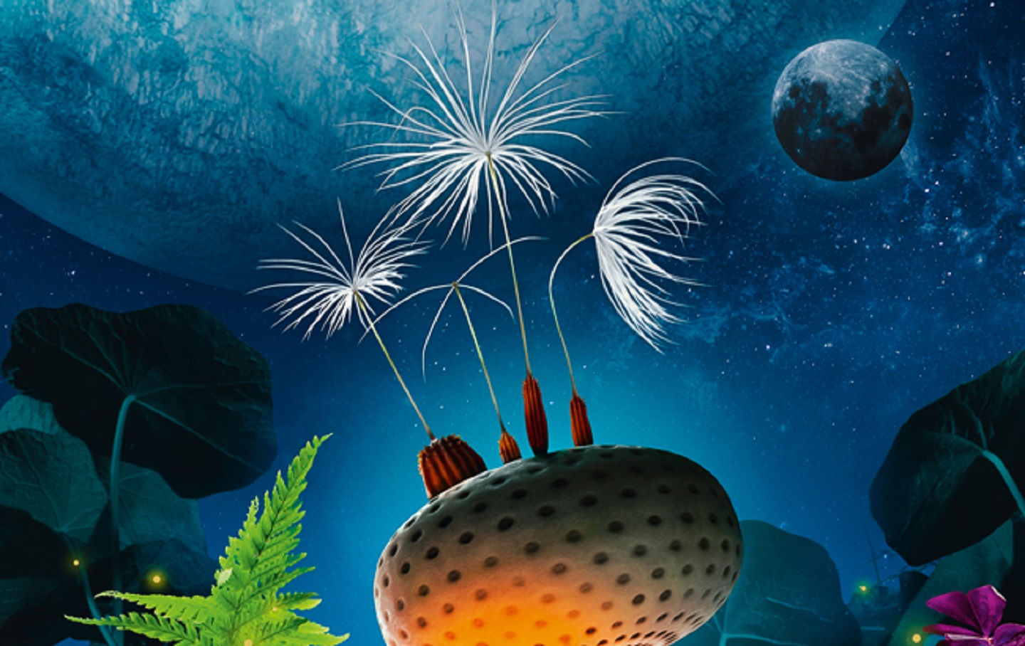 Ciné atelier : expérimentation scientifique