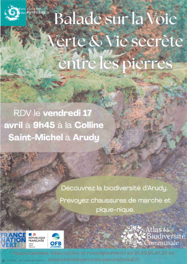 Fêtons la biodiversité : Balade sur la voie ve ...