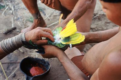 Conférence « L’oiseau bariolé : enquête en for ...