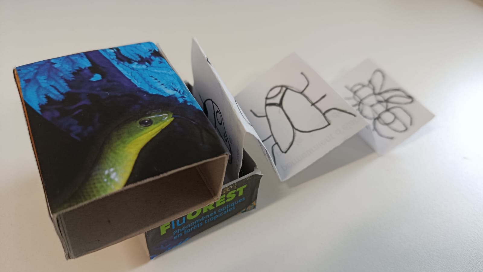 Atelier Mini Cabinet de Curiosit