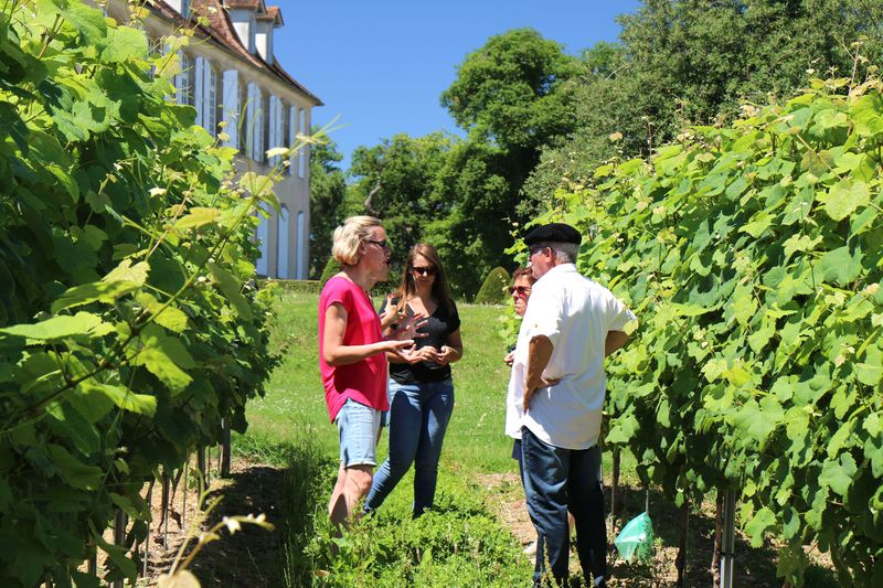 Crouseilles en fleur, au Château de Crouseilles