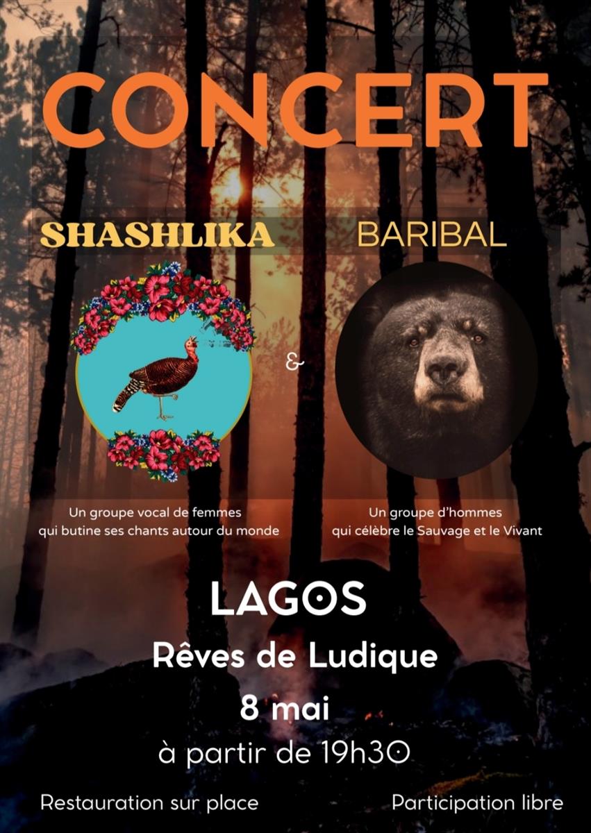 Concert Baribal - Shashlika