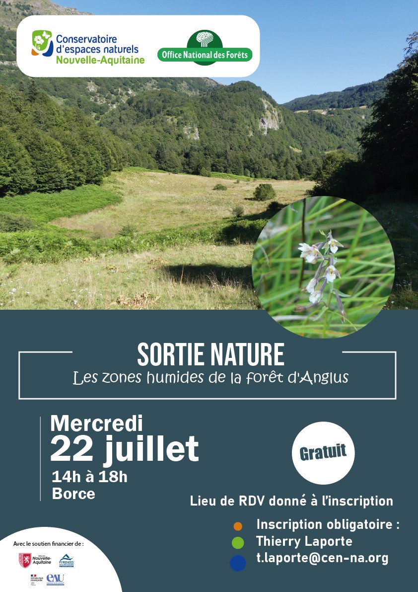 Sortie nature : Les zones humides de la forêt  ...