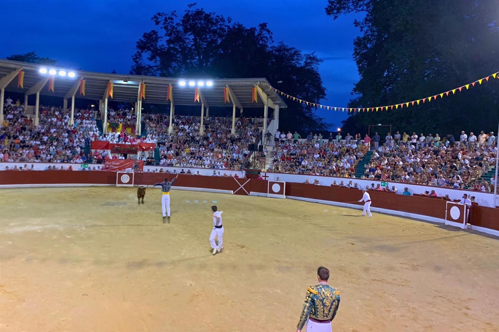 Course landaise compétition