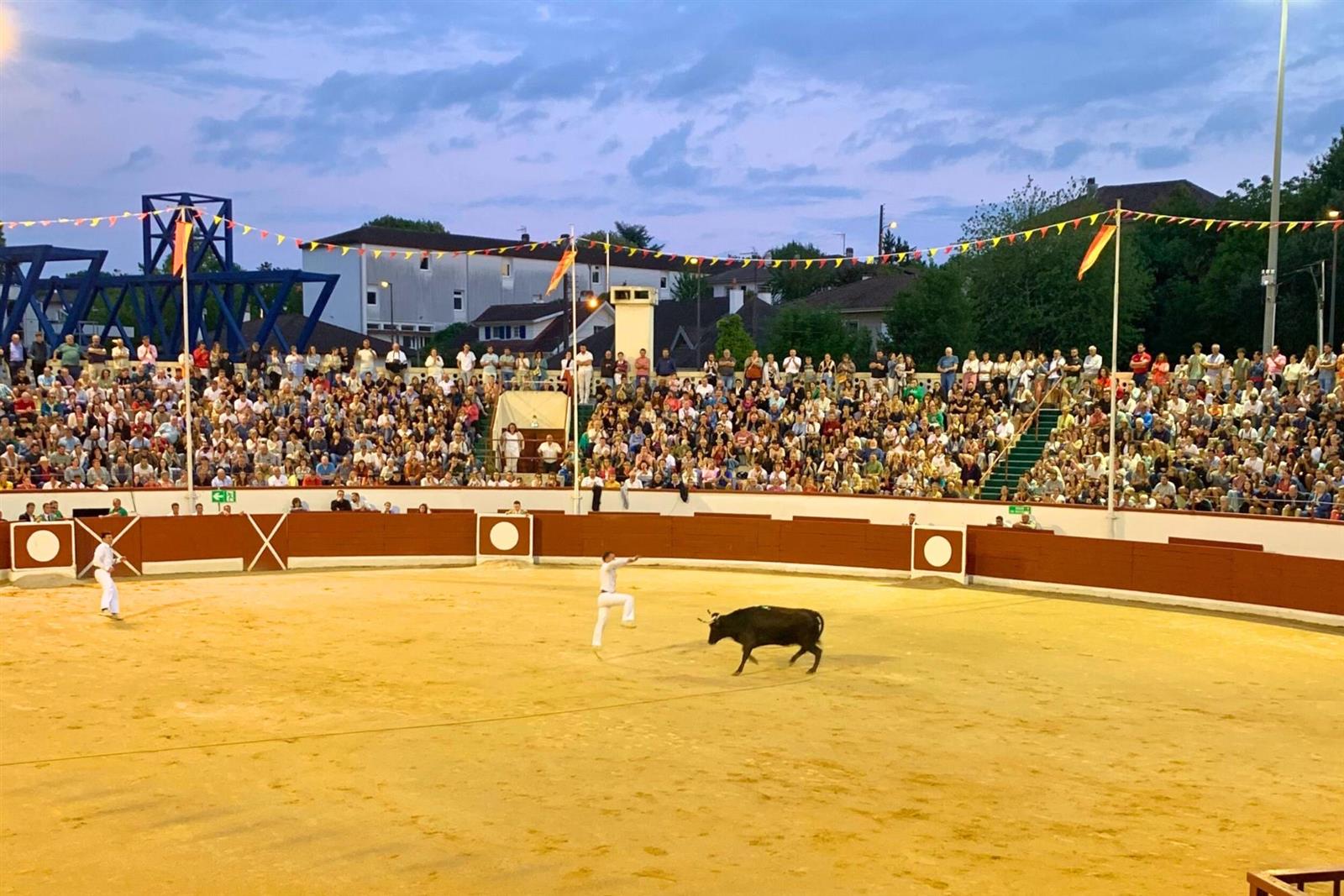 Course Landaise Master du Pesqué