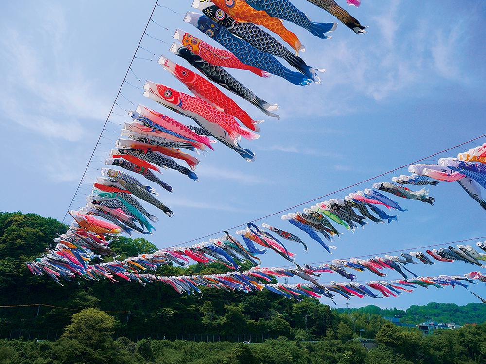 Mon voisin japonais - Tango no sekku